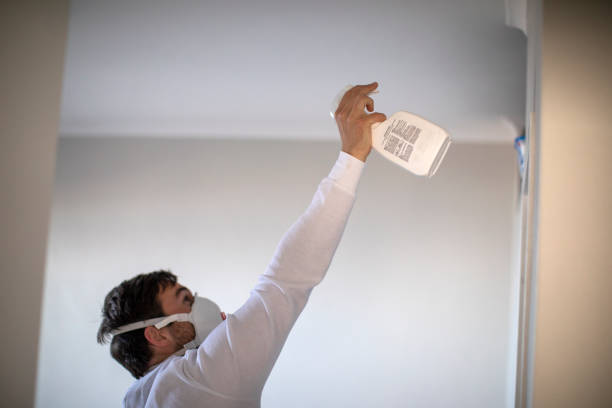 Best Water Damage Restoration  in Memphis, MI