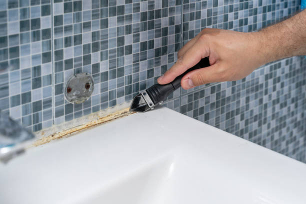 Best Office Mold Removal Services  in Memphis, MI